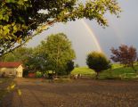 paddock-regenbogen.jpg